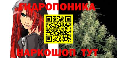 гидра Пыть-Ях