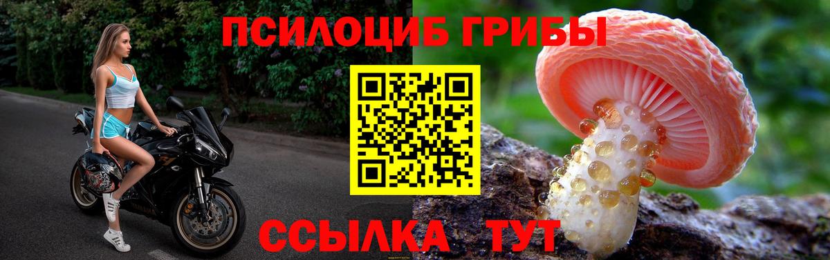Стрежевой  Галлюциногенные грибы Magic Shrooms  Вход с VPN 